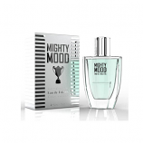 Ανδρικό Άρωμα Mighty mood L.Y. 30ml